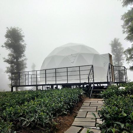 Vythiri Tea Valley I Best Hotel In Wayanad L Hotels In Vythiri Wayanad エクステリア 写真