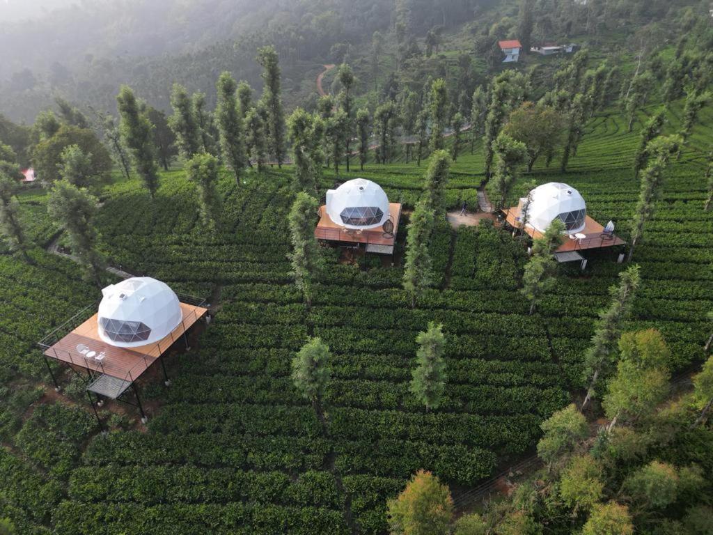 Vythiri Tea Valley I Best Hotel In Wayanad L Hotels In Vythiri Wayanad エクステリア 写真