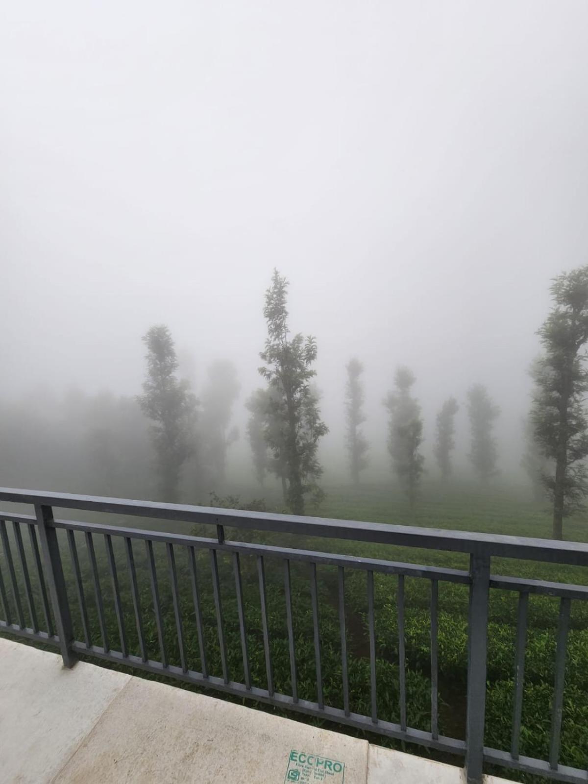 Vythiri Tea Valley I Best Hotel In Wayanad L Hotels In Vythiri Wayanad エクステリア 写真