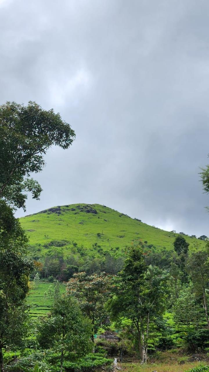 Vythiri Tea Valley I Best Hotel In Wayanad L Hotels In Vythiri Wayanad エクステリア 写真