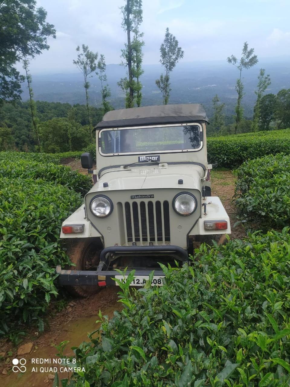 Vythiri Tea Valley I Best Hotel In Wayanad L Hotels In Vythiri Wayanad エクステリア 写真