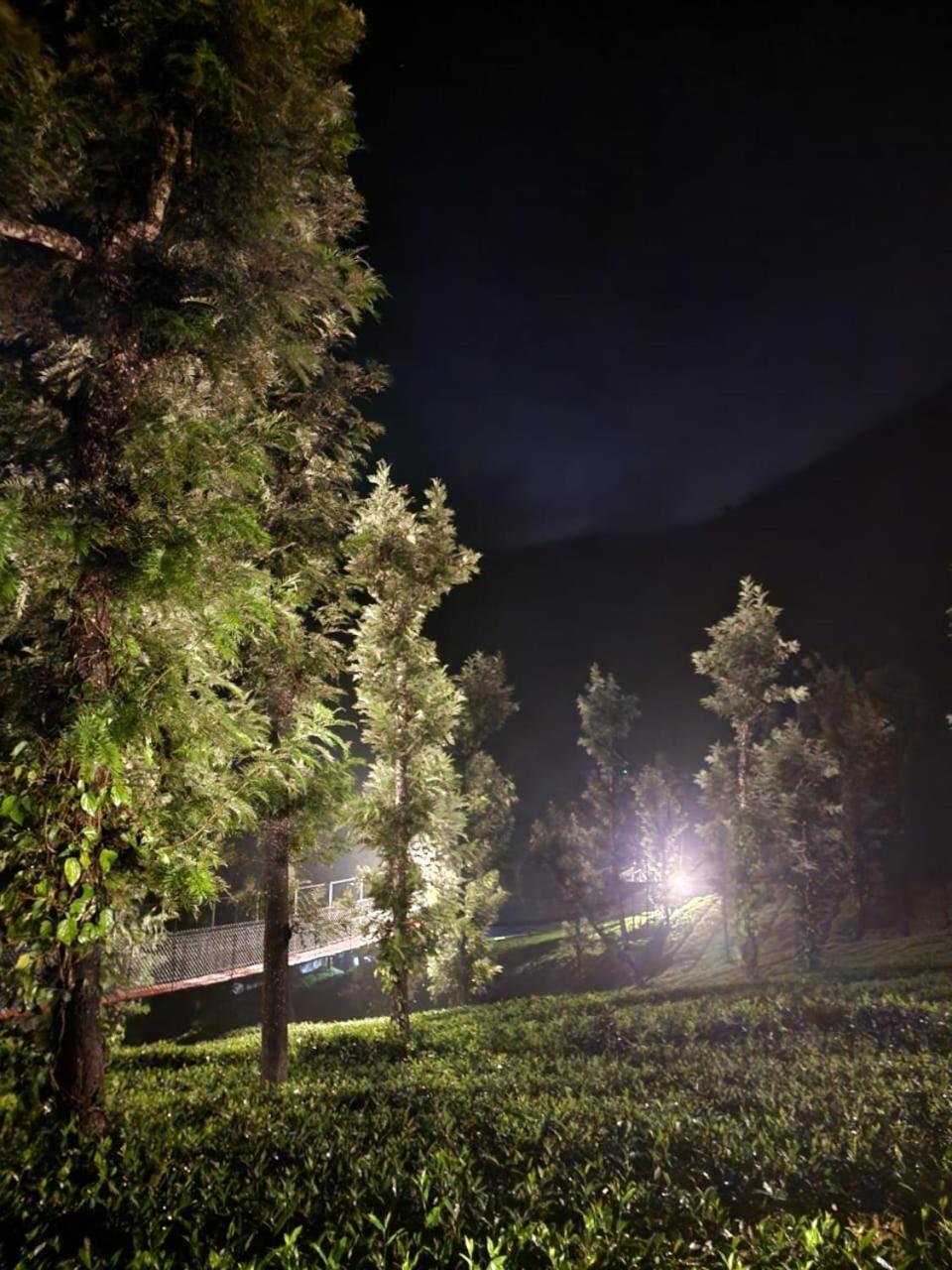 Vythiri Tea Valley I Best Hotel In Wayanad L Hotels In Vythiri Wayanad エクステリア 写真