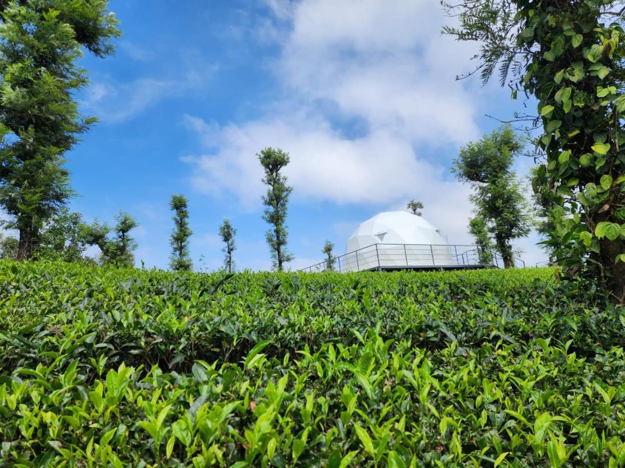 Vythiri Tea Valley I Best Hotel In Wayanad L Hotels In Vythiri Wayanad エクステリア 写真