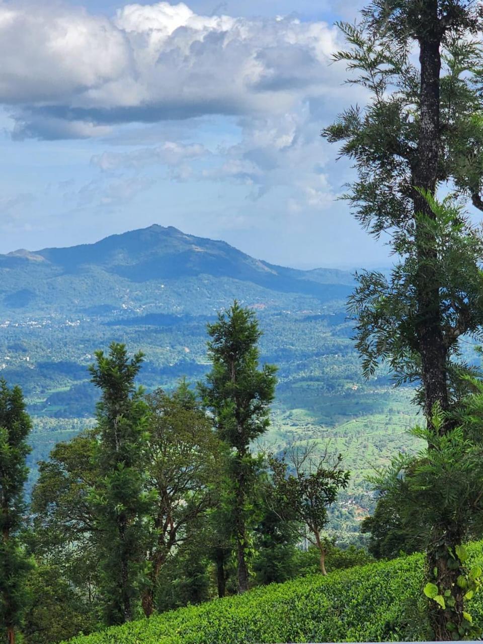 Vythiri Tea Valley I Best Hotel In Wayanad L Hotels In Vythiri Wayanad エクステリア 写真