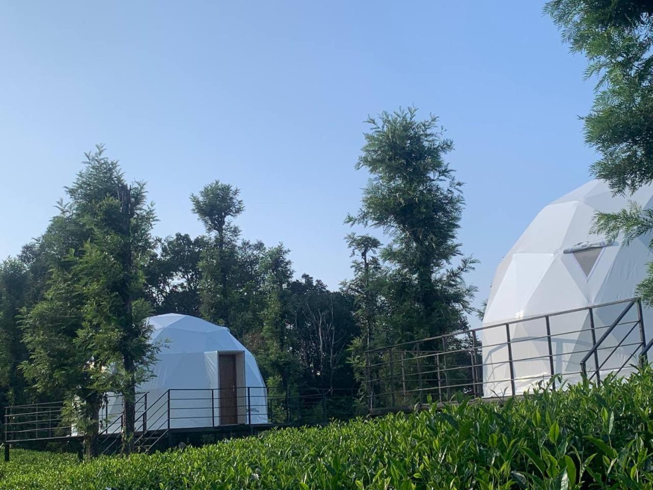Vythiri Tea Valley I Best Hotel In Wayanad L Hotels In Vythiri Wayanad エクステリア 写真